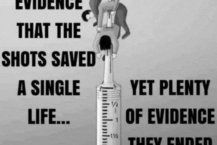 Did the Covid-19 vaccines save many lives?